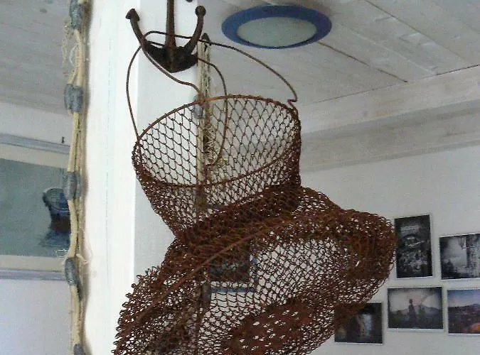 Amurimari * 卡塔尼亚